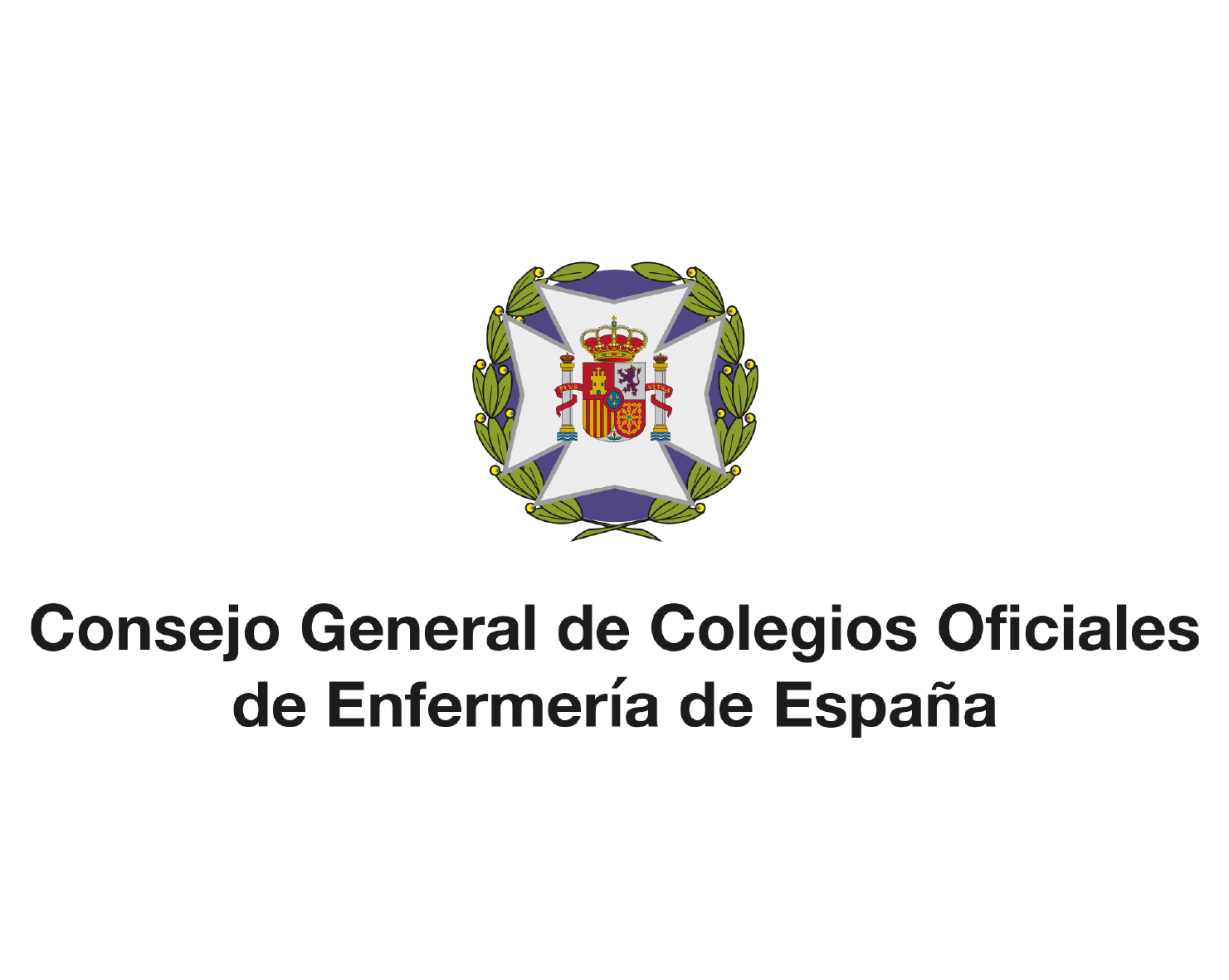 Consejo General de Colegios Oficiales de Enfermería de España